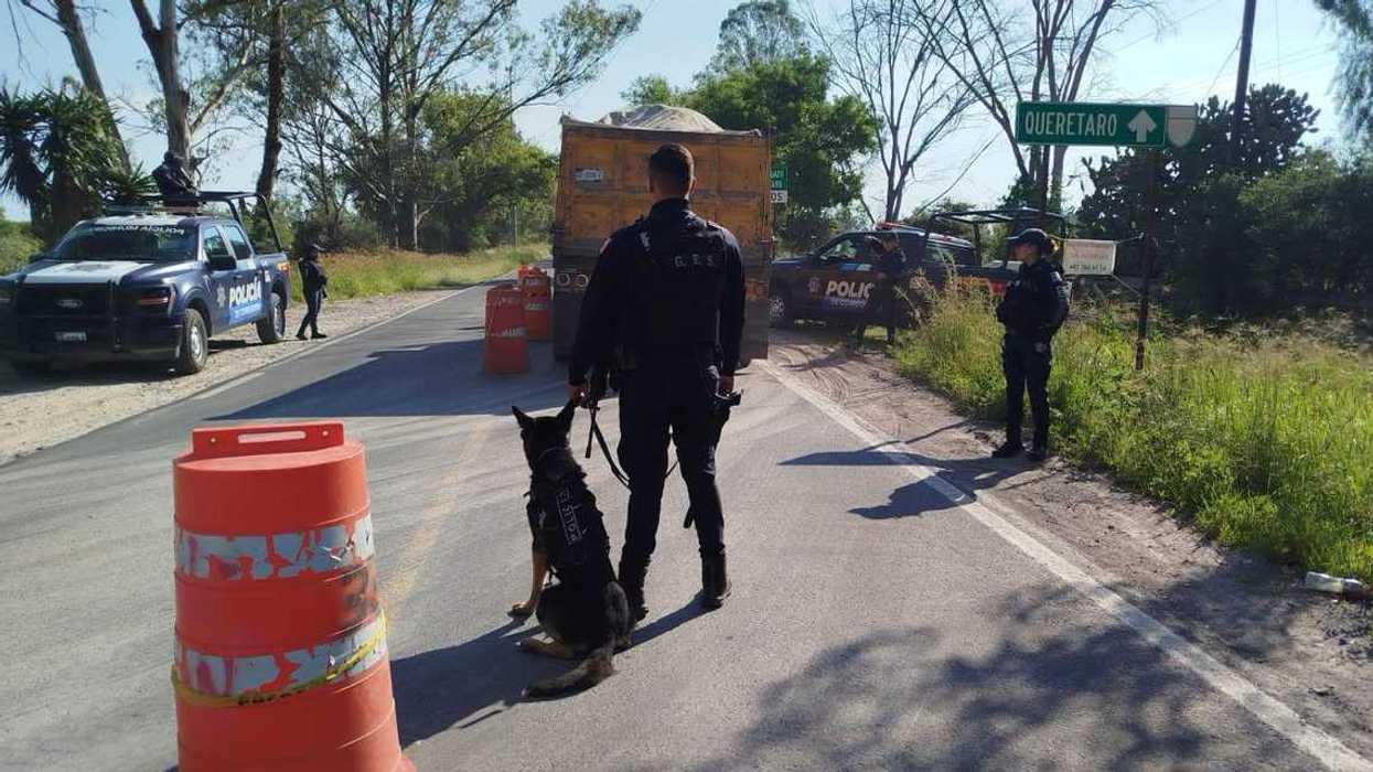 Binomio canino y elementos de la Policía Estatal y municipal de Corregidora participan en operativo preventivo en el límite estatal de Querétaro.