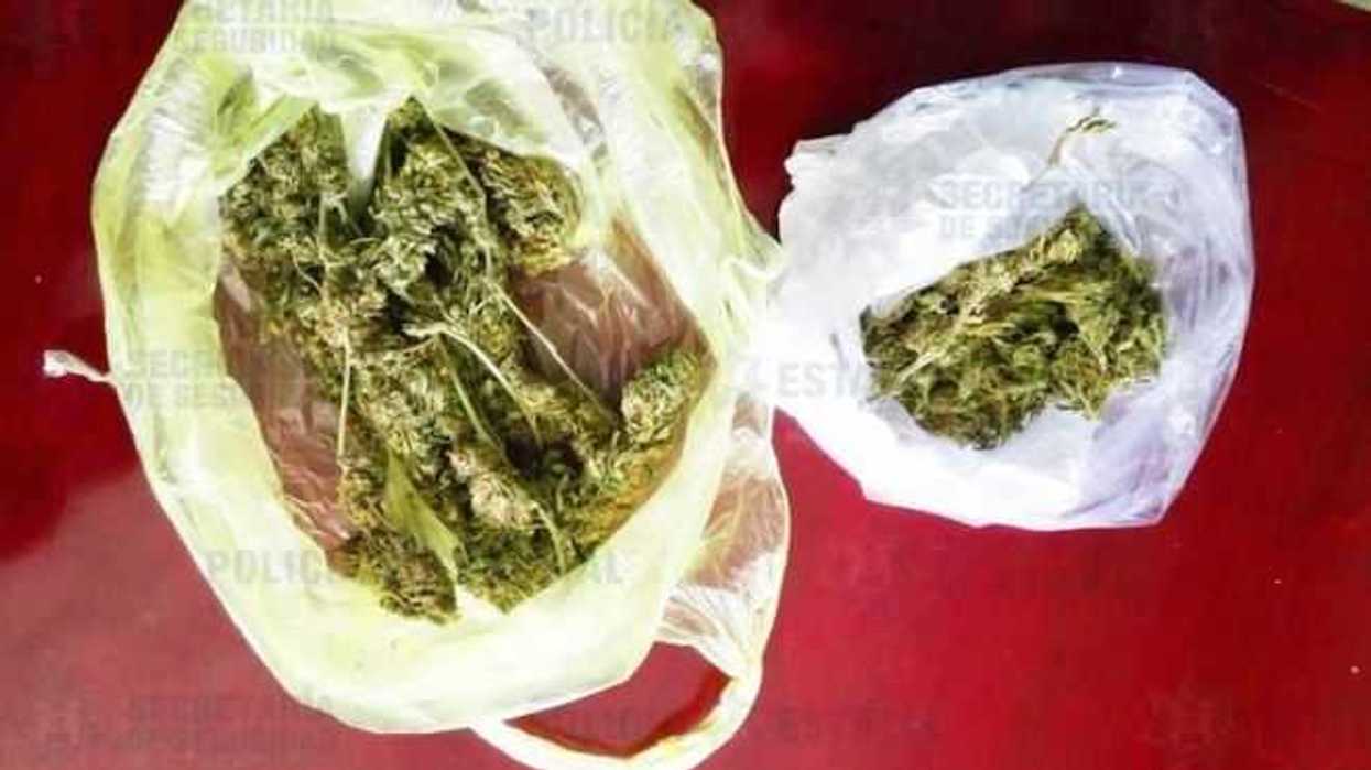 binomios-caninos-descubren-marihuana-en-operativo-mochila-segura