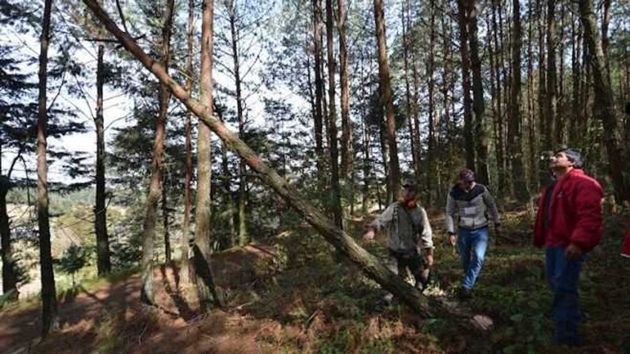 biodiversidad-mexio-efe