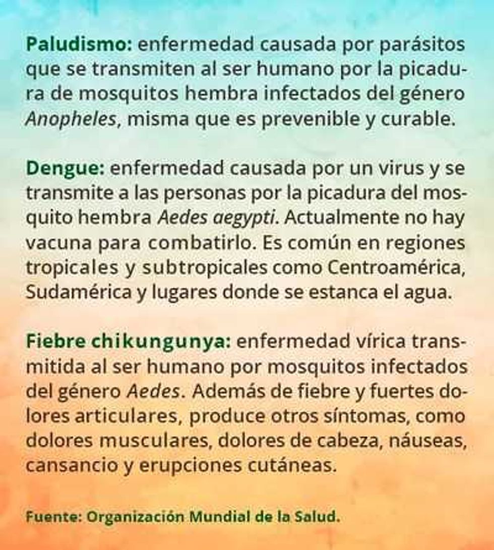 bioinsecticidas alternativa limpia para el combate de mosquitos 1