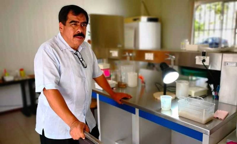 bioinsecticidas alternativa limpia para el combate de mosquitos