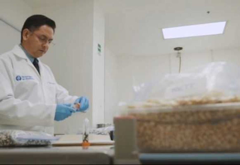 biotecnologia la seguridad alimentaria 3