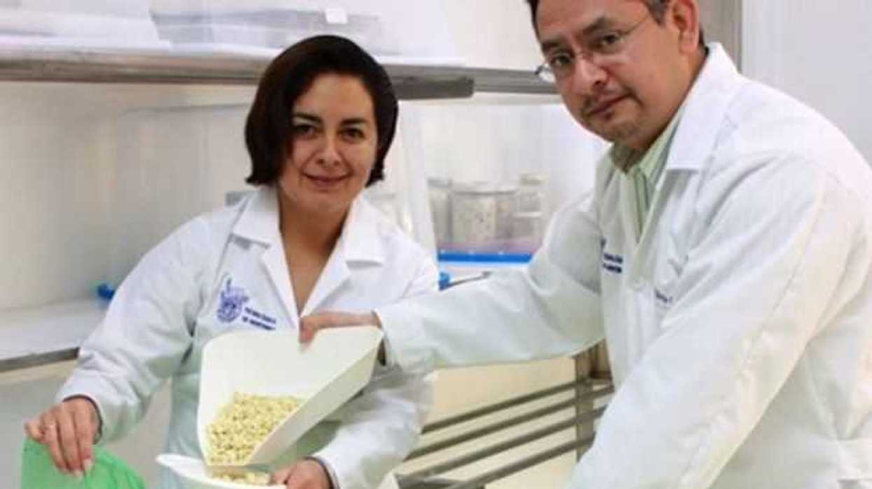 biotecnologia-la-seguridad-alimentaria