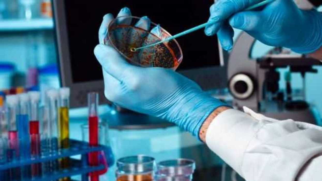 biotecnologia-reduce-poblacion-de-insectos