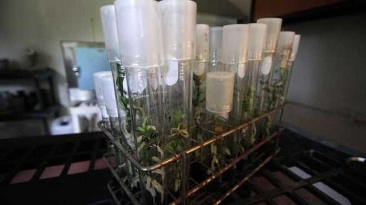 biotecnologia-tendra-mayor-impacto-en-salud-medio-ambiente