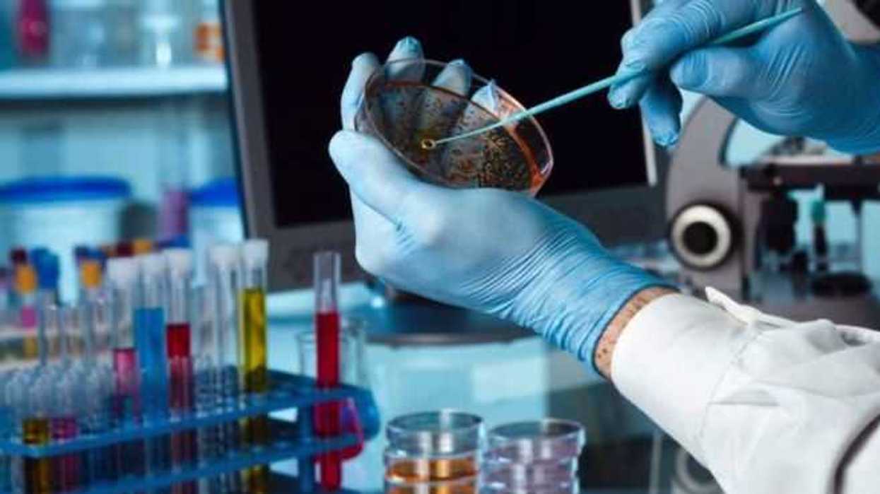 biotecnologia-union-de-ciencias-con-impacto-en-la-salud