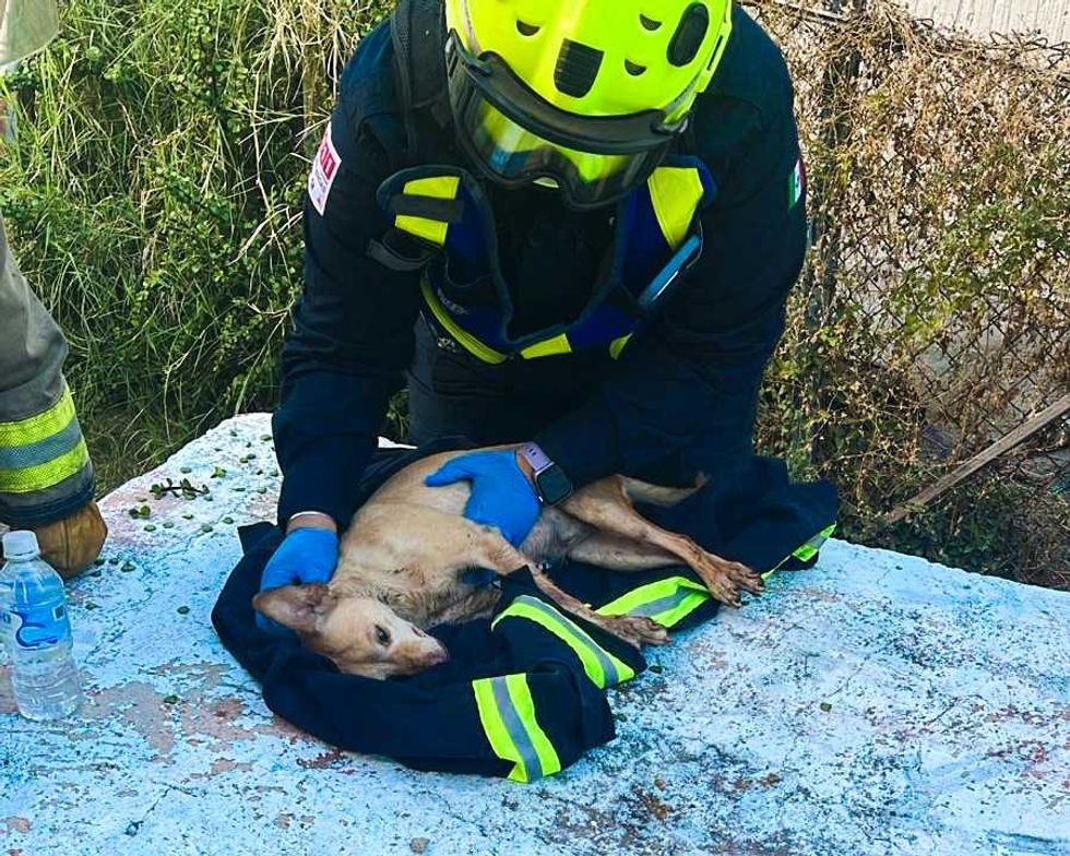 Bomberos de Quer\u00e9taro en operaci\u00f3n de control de incendio en casa habitaci\u00f3n colonia Anexo A La Ecol\u00f3gica