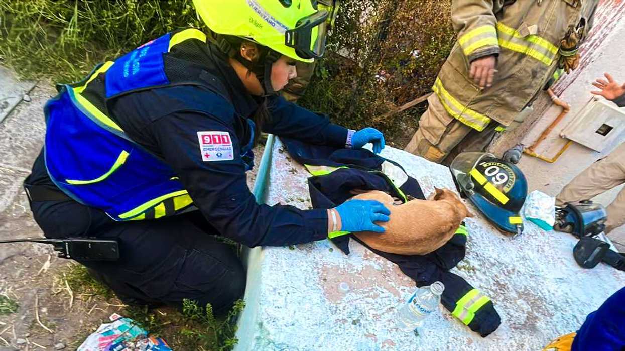 Bomberos de Querétaro en operación de control de incendio en casa habitación colonia Anexo A La Ecológica