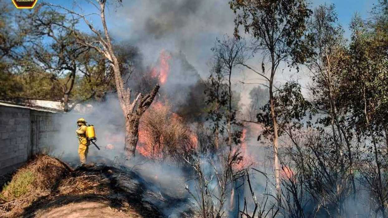 Bomberos voluntarios de Tequisquiapan combaten incendio de pastizal en zona rural del municipio queretano