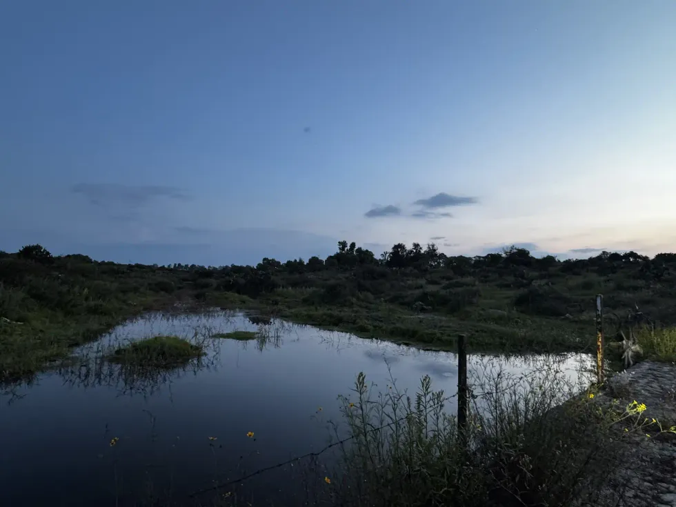 Bordo de agua al atardecer en tierras ejidales de Nopala de Villagr\u00e1n, Hidalgo, sobre mantos acu\u00edferos amenazados por la instalaci\u00f3n de parques fotovoltaicos