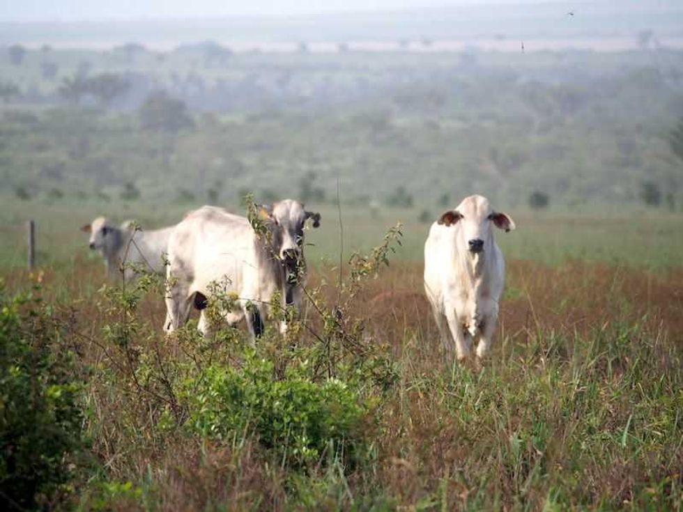 brasil aspira a ser superpotencia alimentaria en proxima decada 1