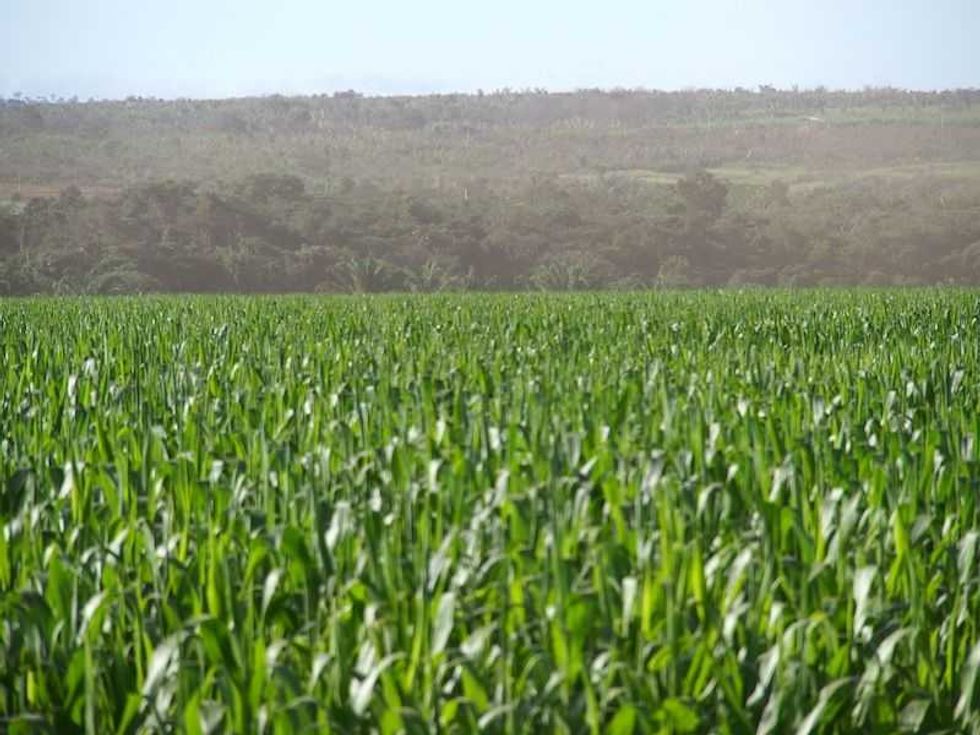 brasil aspira a ser superpotencia alimentaria en proxima decada