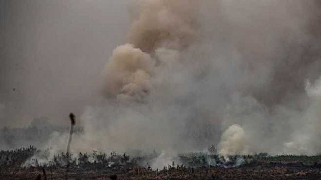 brasil-incendios-efe