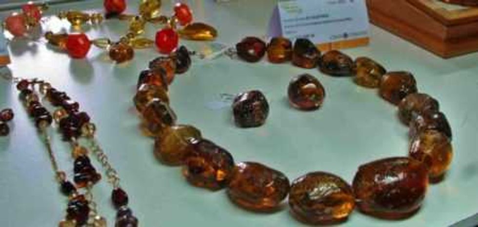 buscan-otorgar-certificado-de-autenticacion-al-ambar-de-chiapas-2