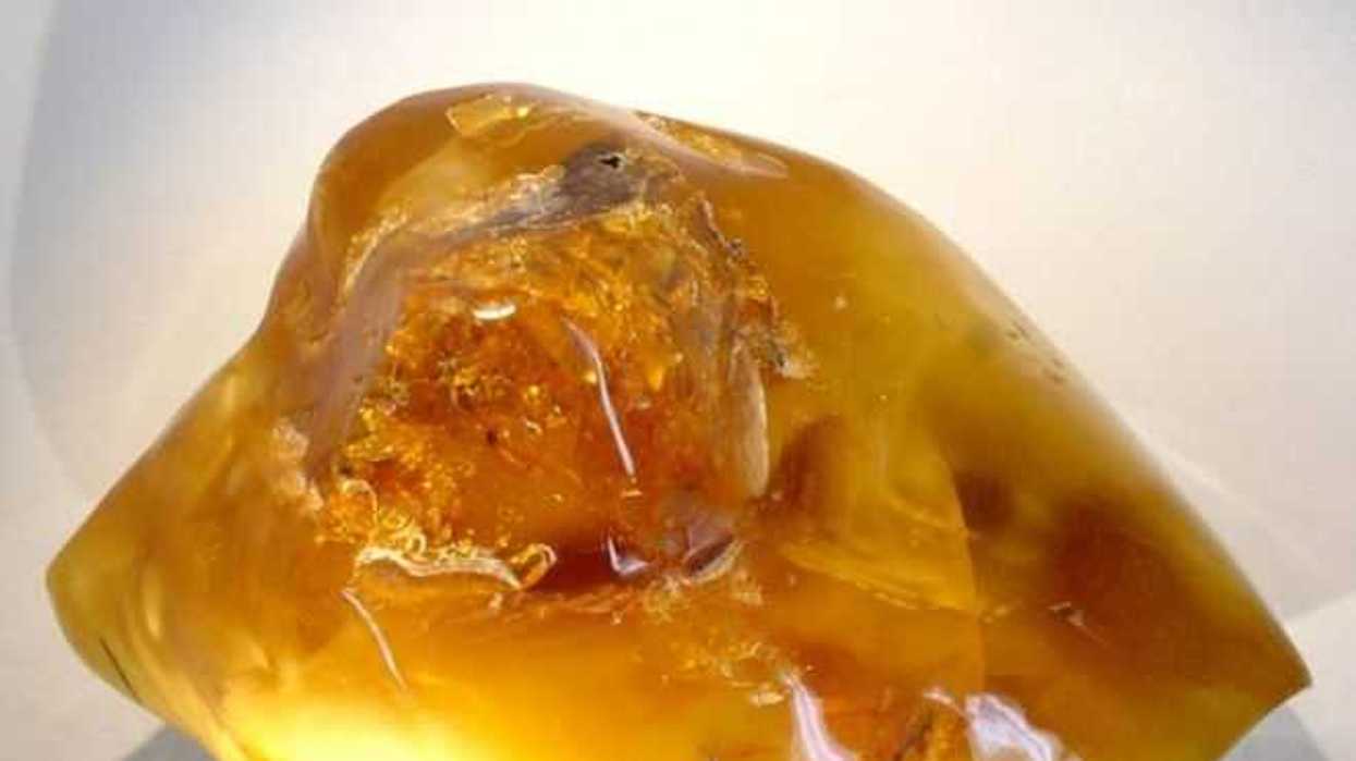 buscan-otorgar-certificado-de-autenticacion-al-ambar-de-chiapas