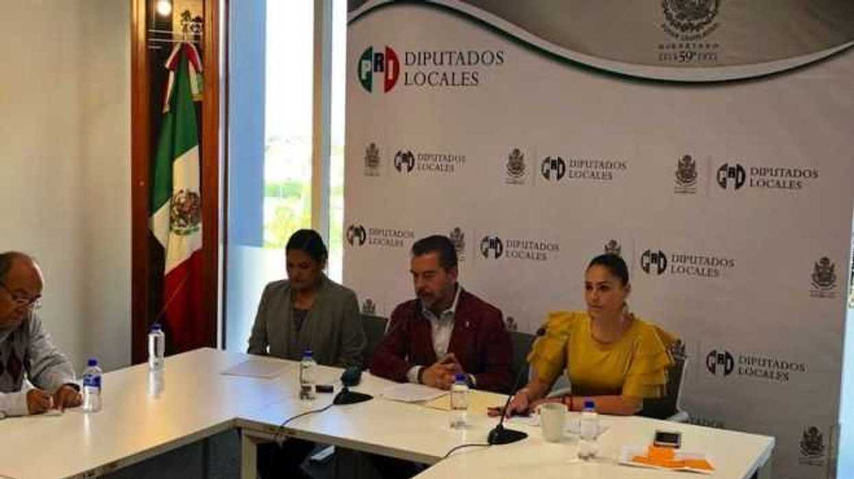 buscan-que-animales-no-sean-considerados-objetos-en-queretaro