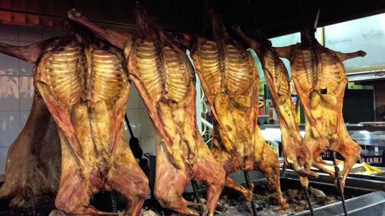 CABRITO NUEVO LEON. NOTIMEX.