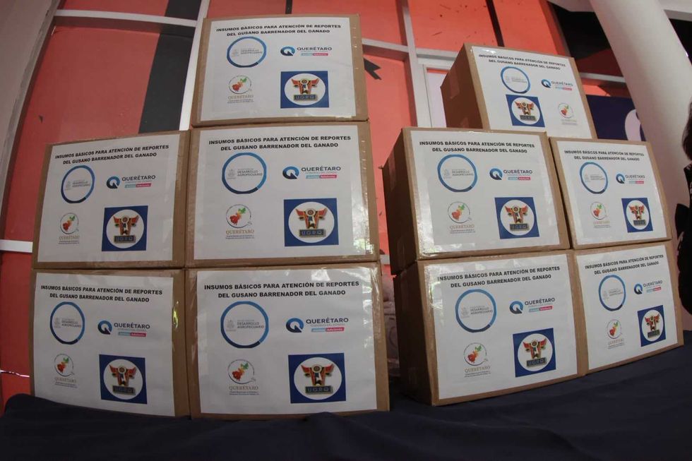 Cajas con insumos b\u00e1sicos para atender reportes de gusano barrenador del ganado en Quer\u00e9taro.