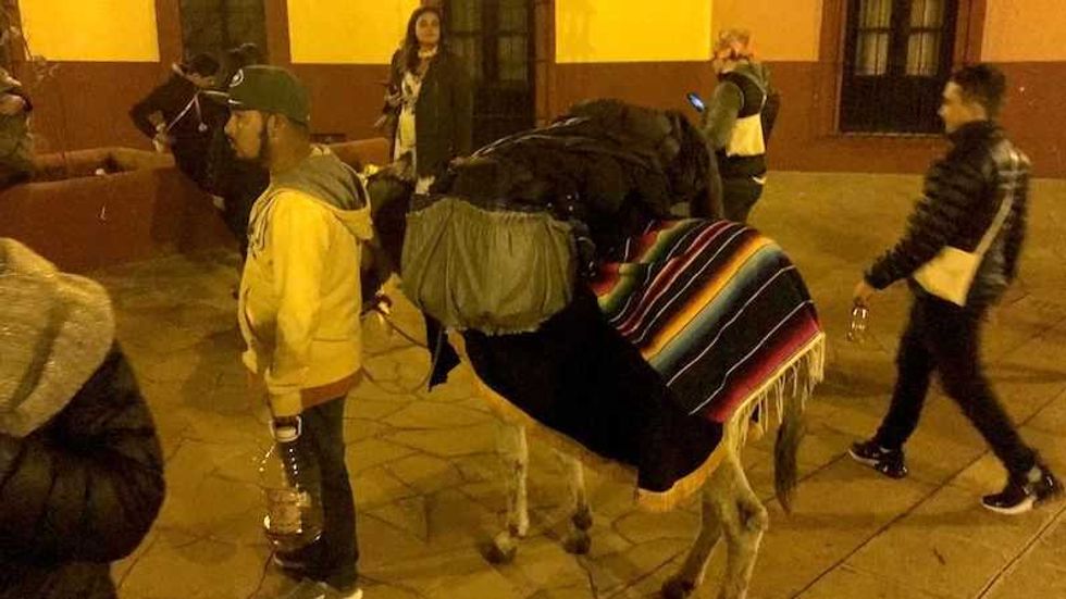 callejoneadas experiencia imperdible en visita a zacatecas2