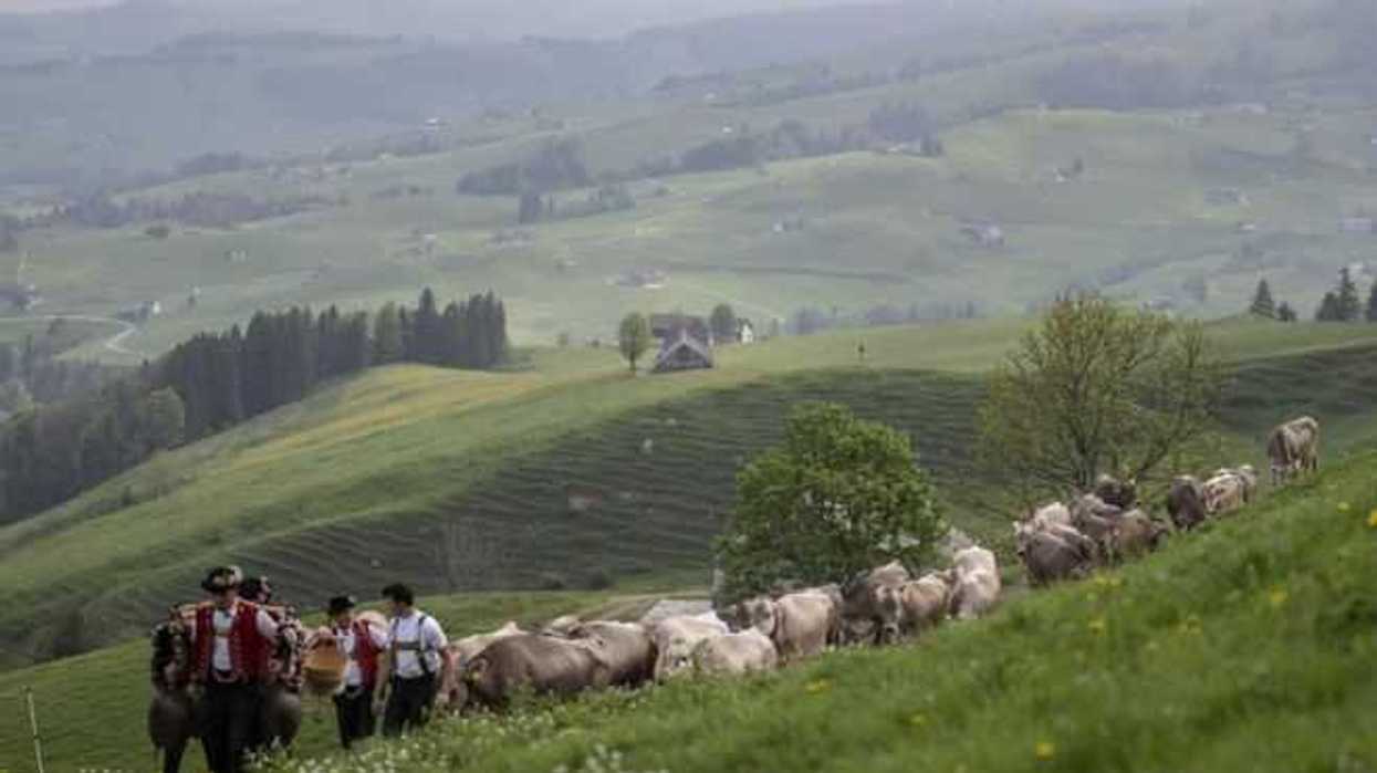 cambio-climatico-efe