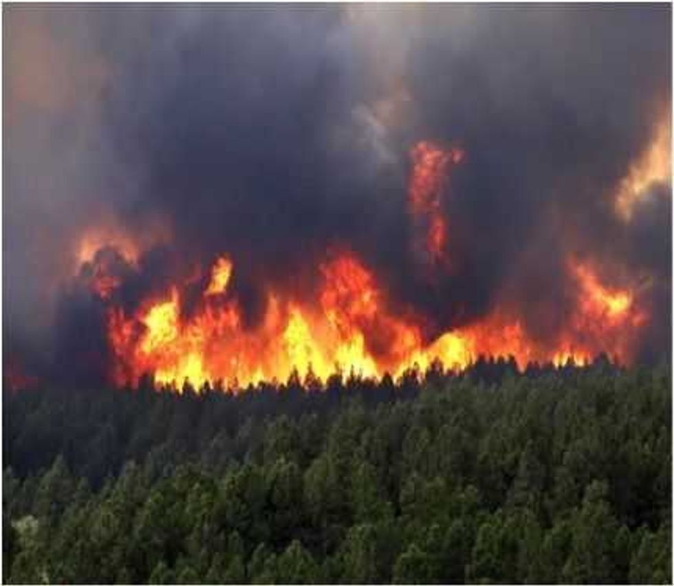 cambio climatico tiene solucion 4