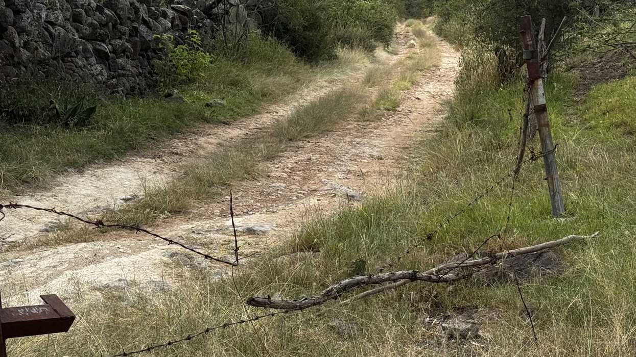 Camino de terracer\u00eda con pasto entre las huellas y cerca de alambre de p\u00faas ca\u00edda, en Nopala de Villagr\u00e1n, Hidalgo