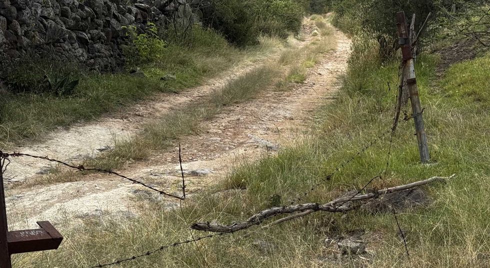 Camino de terracer\u00eda con pasto entre las huellas y cerca de alambre de p\u00faas ca\u00edda, en Nopala de Villagr\u00e1n, Hidalgo