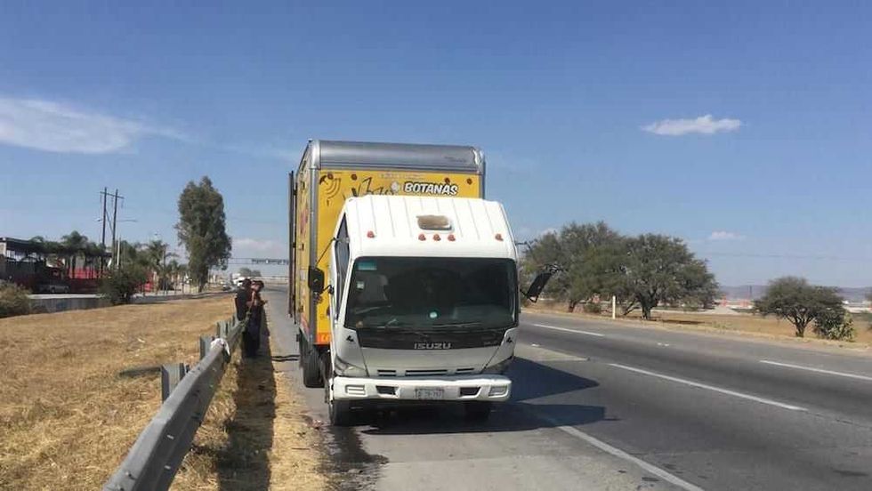 camion flamea2