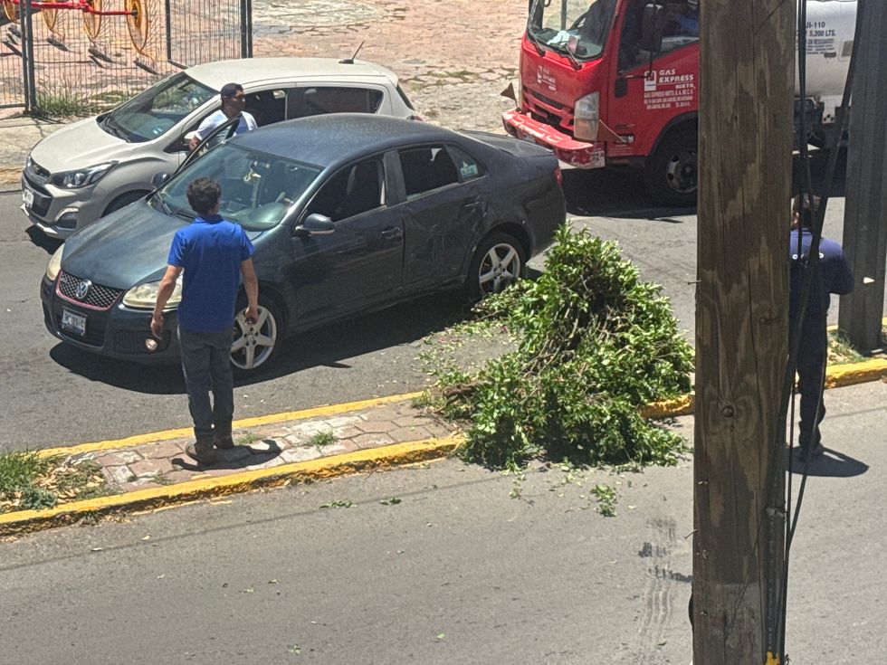 Camioneta pick up con placas del Estado de M\u00e9xico y Volkswagen accidentados en Boulevard Hidalgo con \u00e1rbol del camell\u00f3n derribado en San Juan del R\u00edo