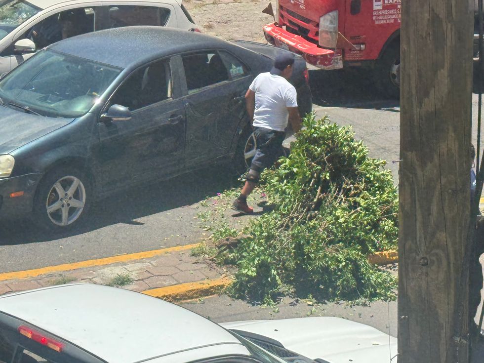 Camioneta pick up con placas del Estado de M\u00e9xico y Volkswagen accidentados en Boulevard Hidalgo con \u00e1rbol del camell\u00f3n derribado en San Juan del R\u00edo