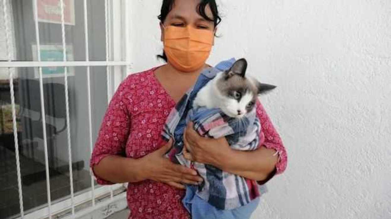 campana-vacunacion-antirabica