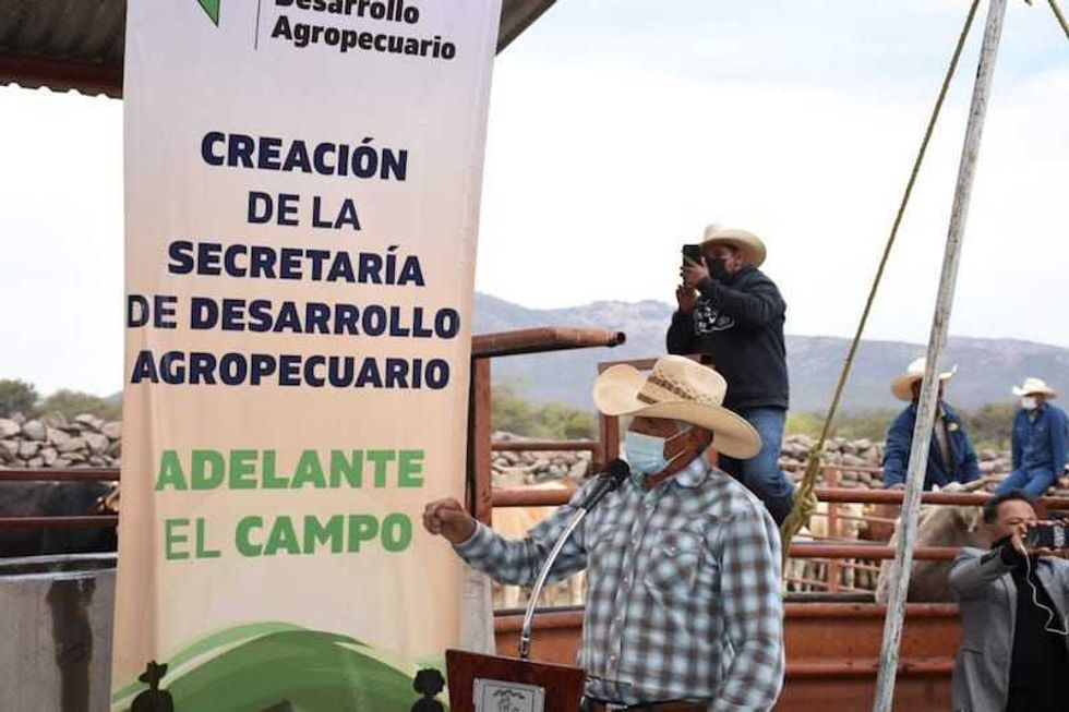 campo san juan del rio4