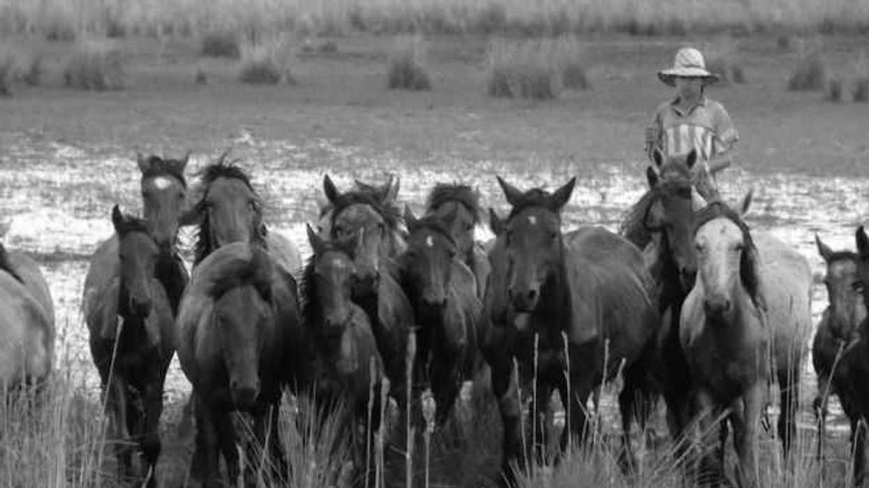 Cantos de vaquería patrimonio de la humanidad