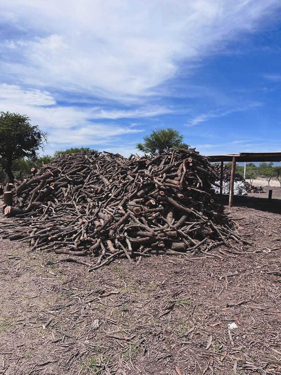 Carb\u00f3n vegetal y madera de huizache aseguradas por Profepa en carbonera clandestina de Nuevo Ideal, Durango.