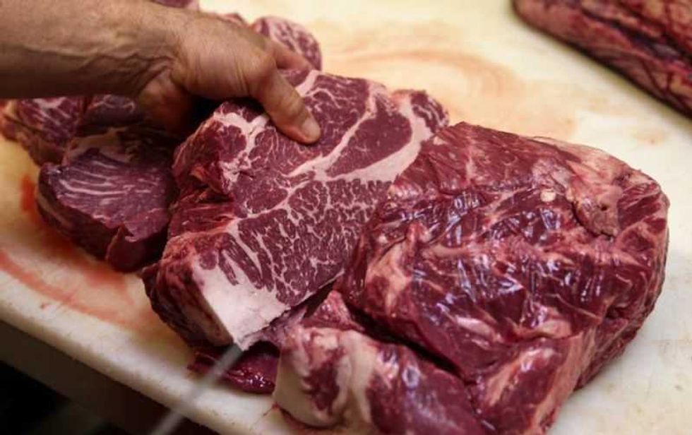 carne de caballo una alternativa alimenticia 8