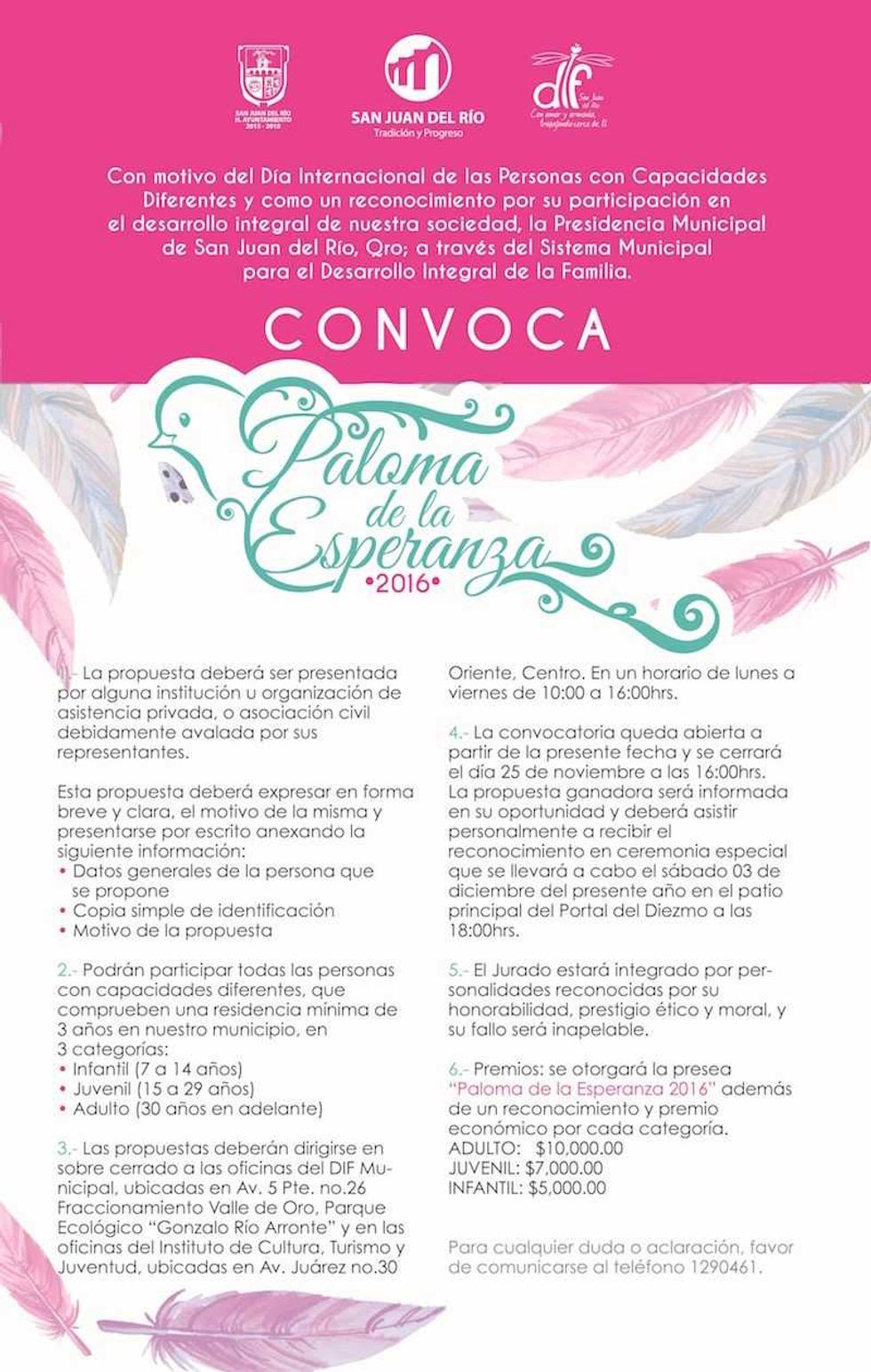 carteles paloma y semana discapa