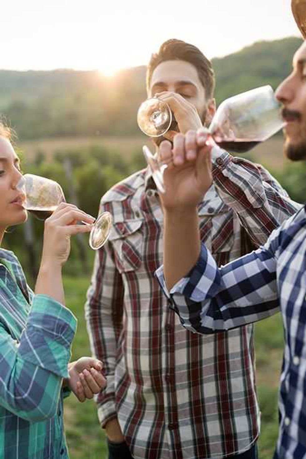 casa donato se suma a la ruta del arte queso y vino de queretaro 2