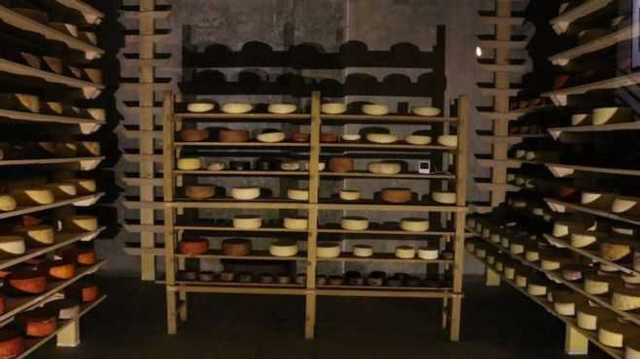 cava-bocanegra-turismo