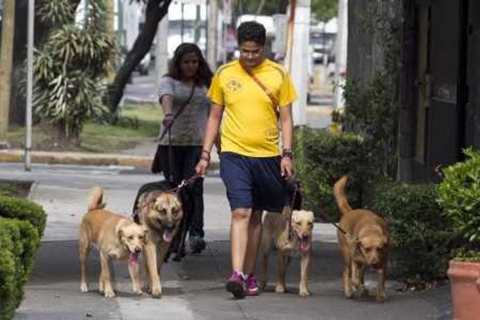CELEBRARÁN DÍA DEL PERRO EN EL ZÓCALO