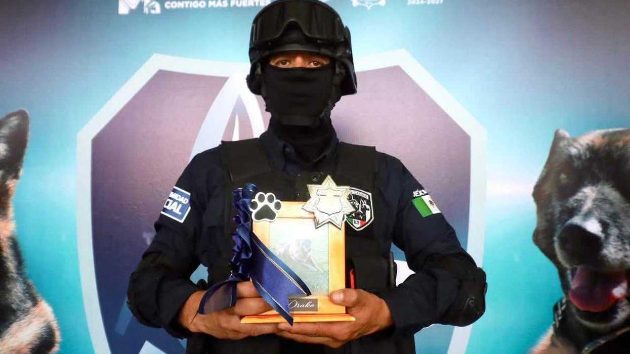 Ceremonia de jubilación de los agentes caninos Tyzon Apolo y Rosco del Grupo K9 de la Policía Municipal de El Marqués