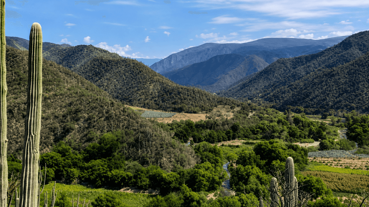cerro-grande-cadereyta-area-natural-protegida-queretaro-2026-1.png