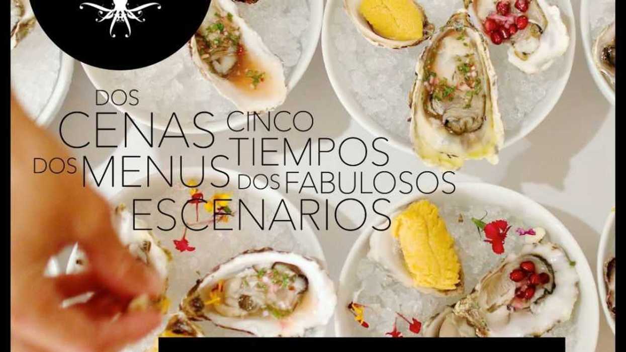 Ceviche Project General (1)