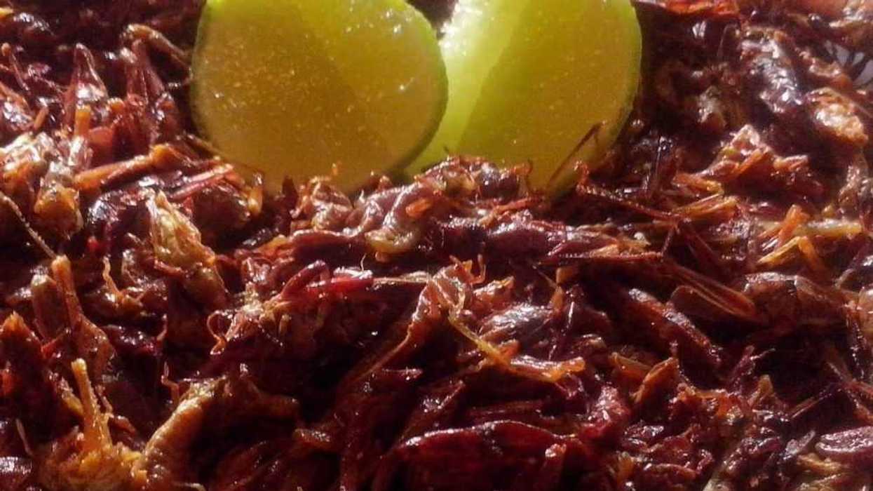 chapulines con chile. NOTIMEX