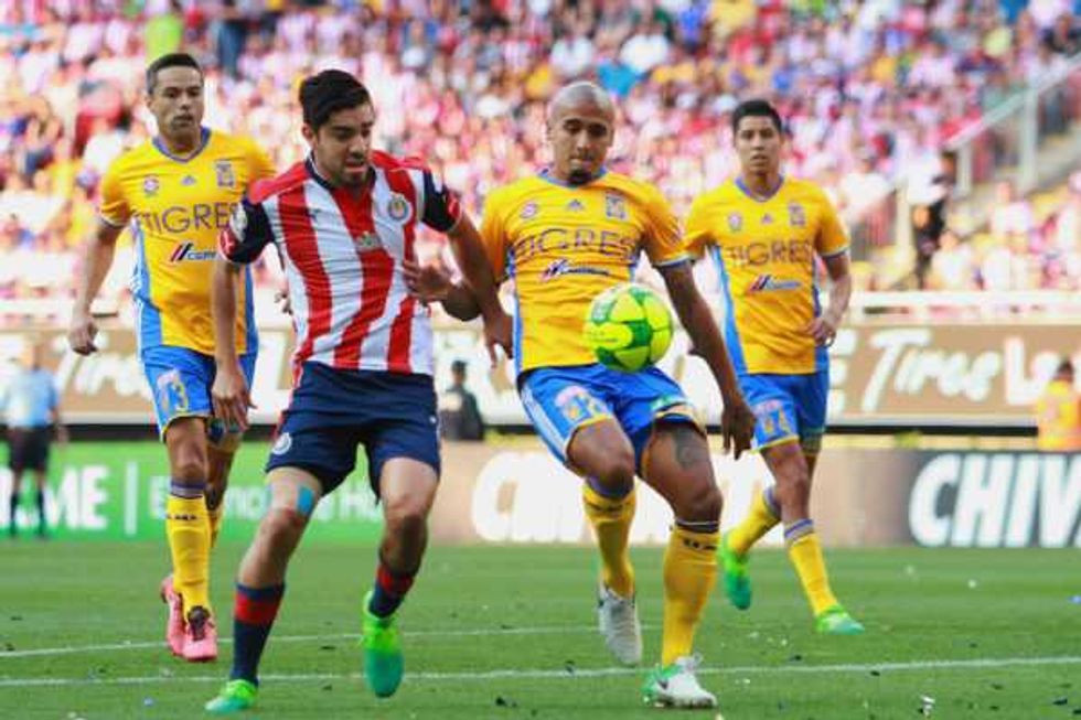 chivas campeon 2