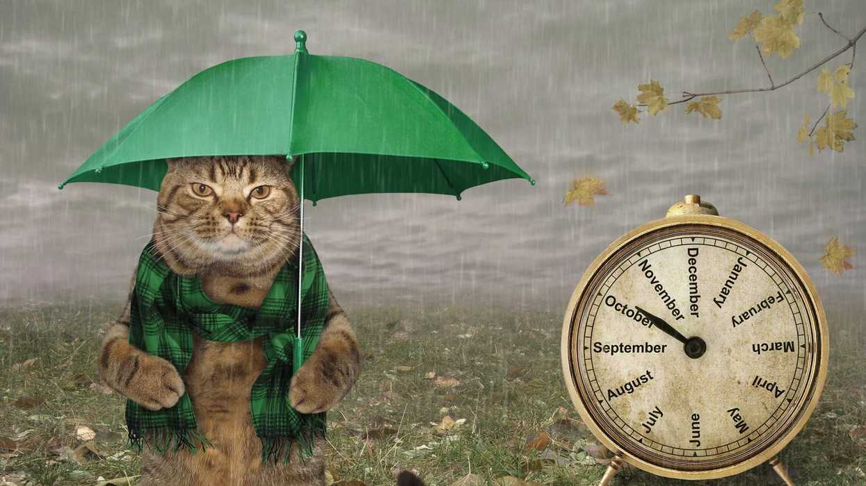 Cielo nublado con pronóstico de lluvias fuertes y granizo en Querétaro e Hidalgo según Conagua