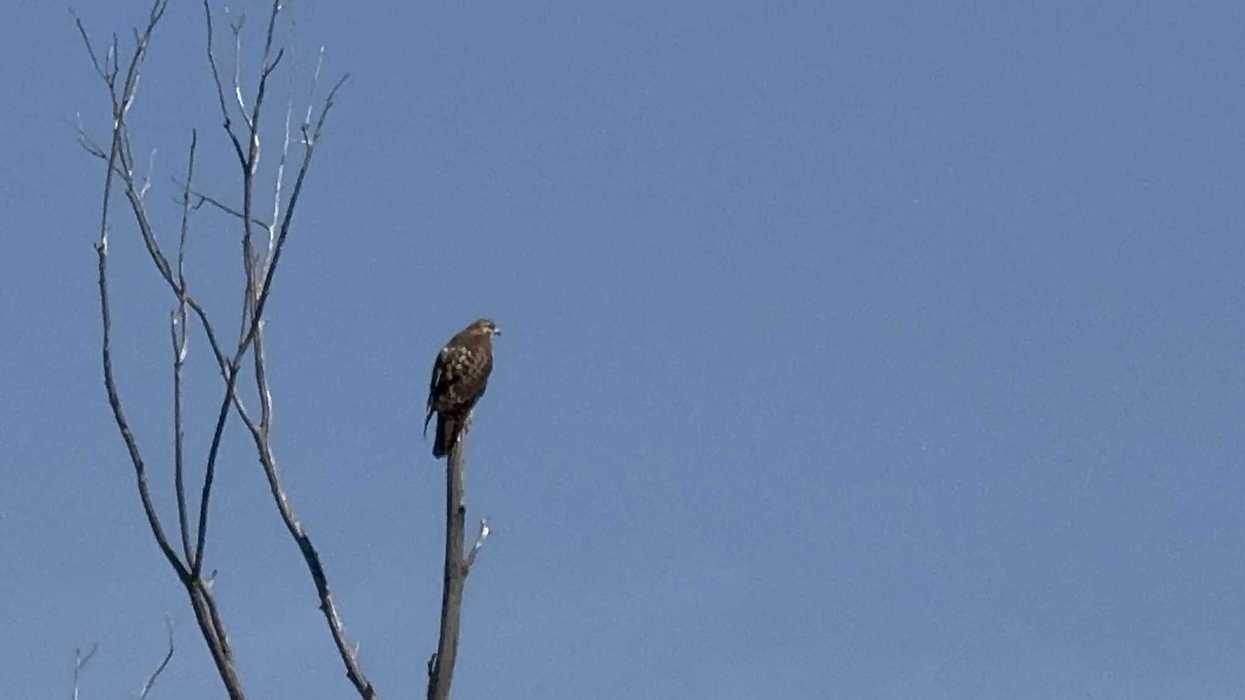 Cielo nublado sobre la capital queretana. El pronóstico indica temperaturas de 5°C a 24°C sin lluvia prevista.