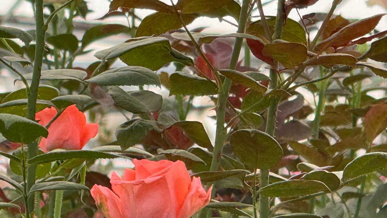 Cielo nublado sobre Querétaro con pronóstico de onda de calor y lluvias fuertes en Querétaro e Hidalgo este lunes y martes