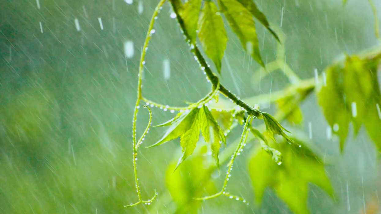 Cielo nublado sobre San Juan del Río con lluvias y rachas de viento previstas por Conagua