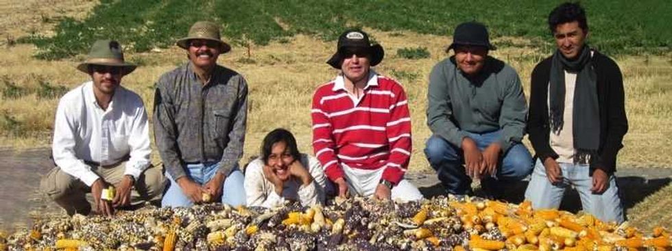 ciencia gourmet con maiz mejorado 2