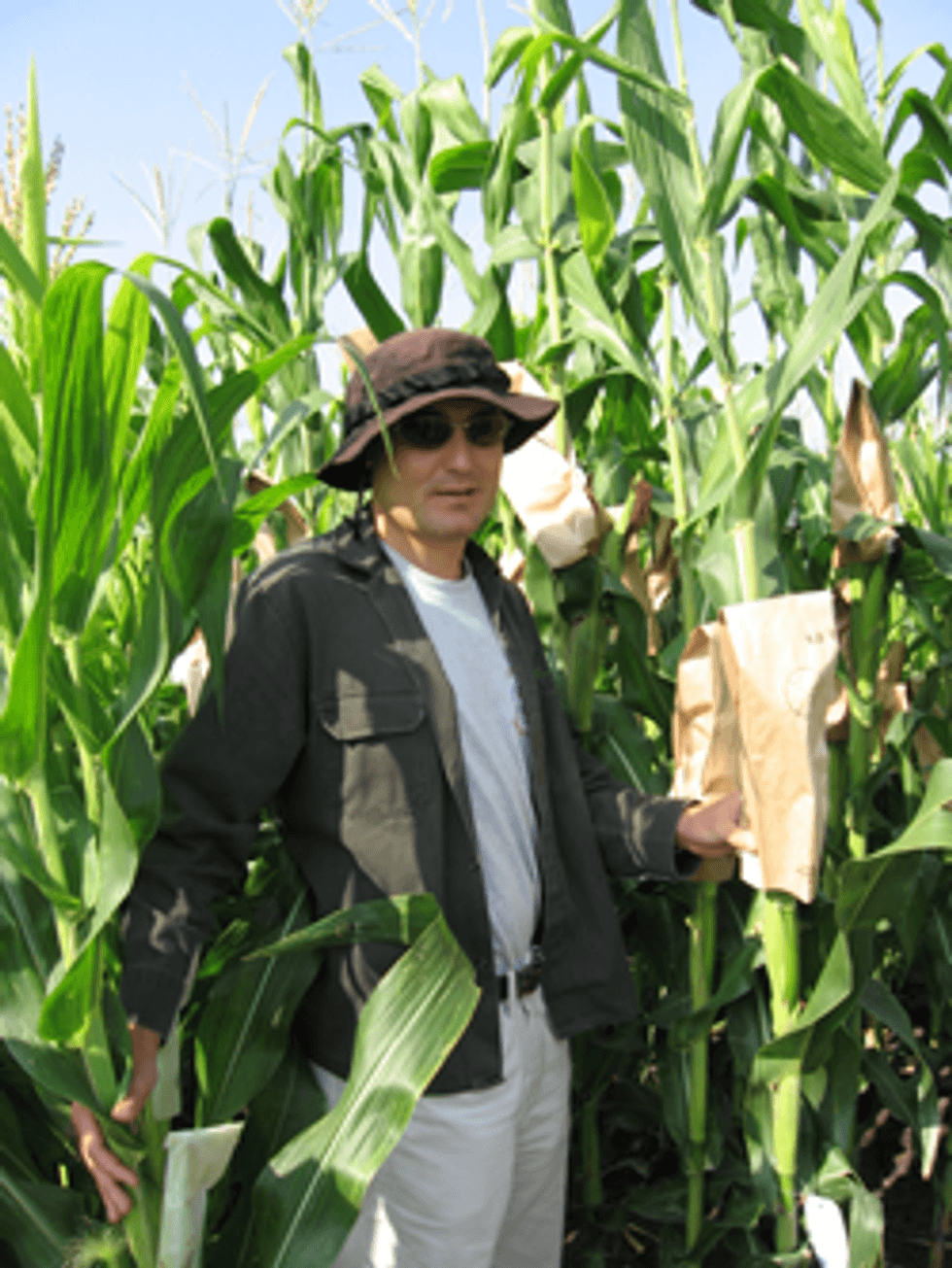 ciencia gourmet con maiz mejorado